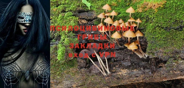 spice Алексеевка