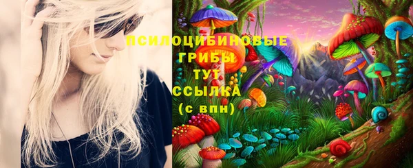 ALPHA PVP Арсеньев