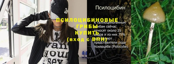 гашик Аркадак