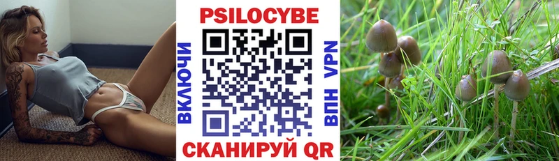 Галлюциногенные грибы Psilocybine cubensis  даркнет сайт  ссылка на мегу вход  Краснослободск 